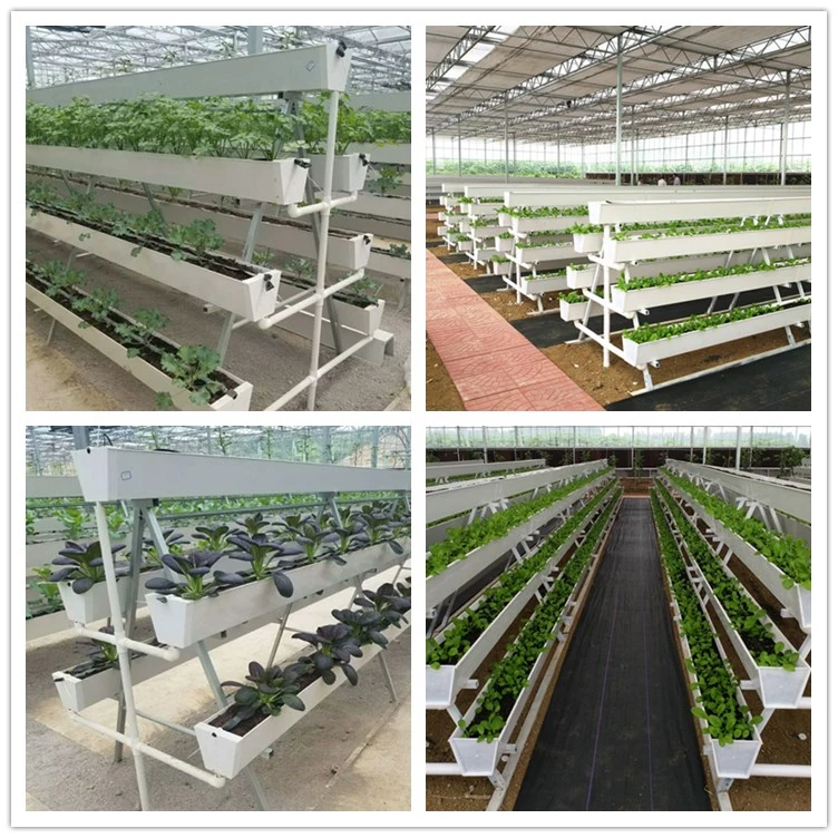 High Quality Vertical Hydroponic System Greenhouse Gutter Hydroponic Growing Systems Nft Gully