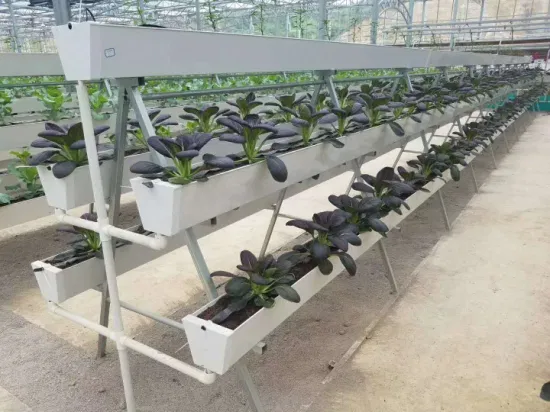 High Quality Vertical Hydroponic System Greenhouse Gutter Hydroponic Growing Systems Nft Gully